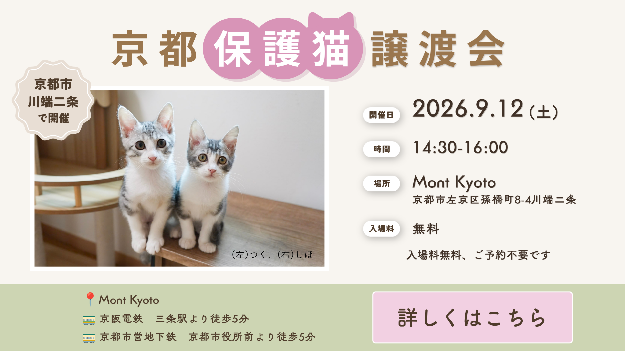 京都保護猫譲渡会