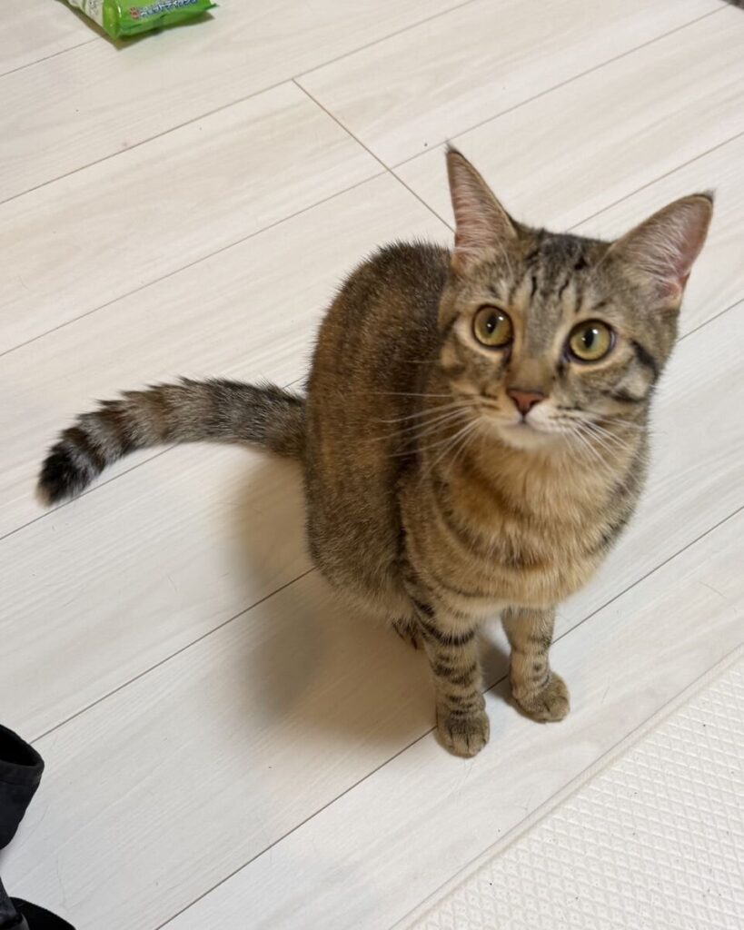 はな