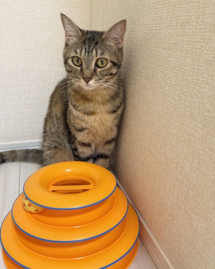 はな