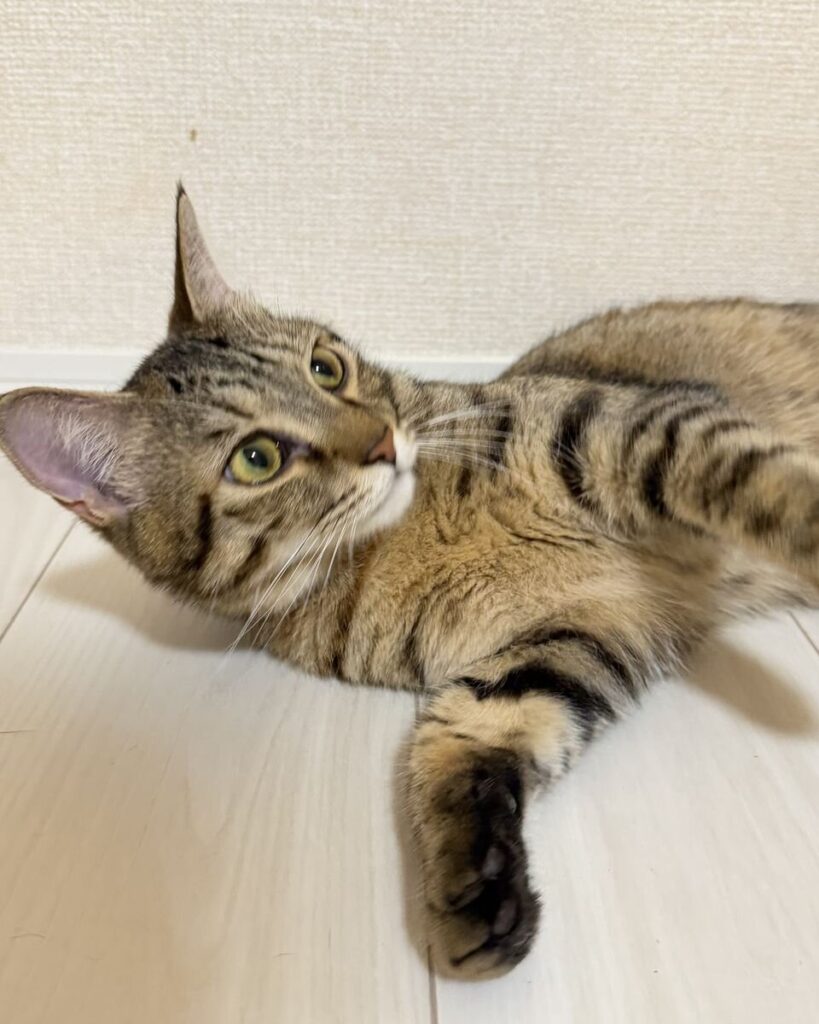 はな